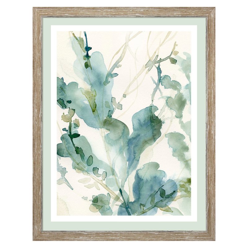 Camelot Underwater Botany II