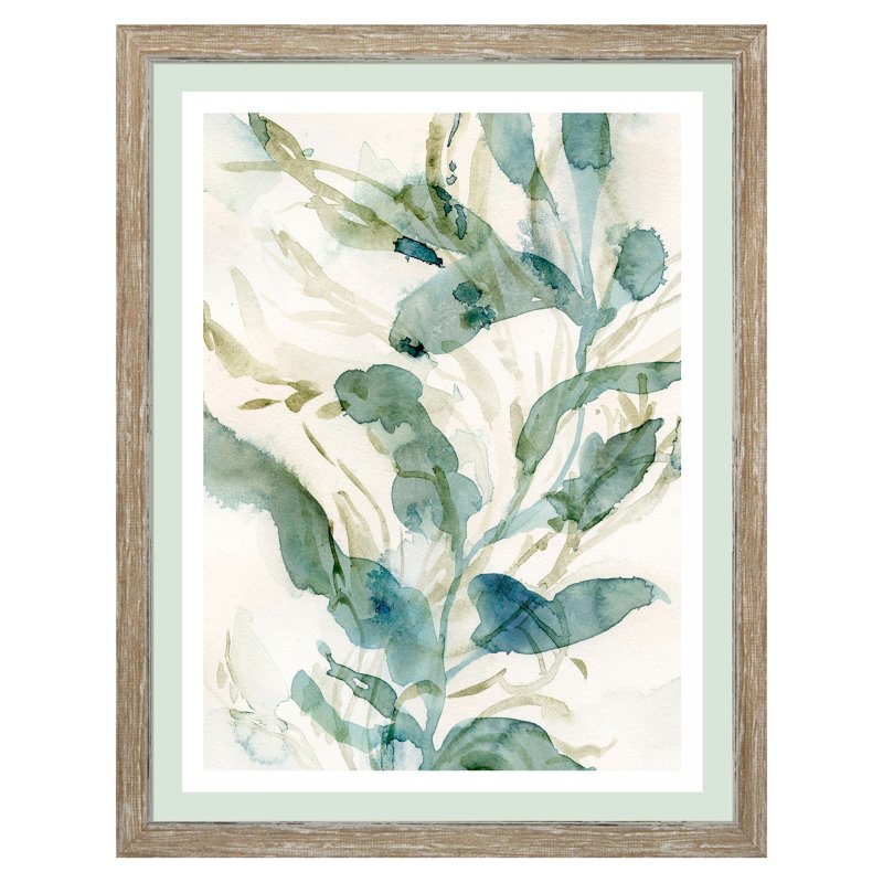 Camelot Underwater Botany IV