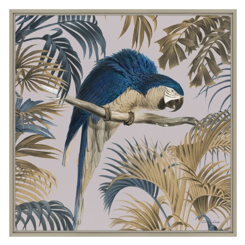Artko Macaw