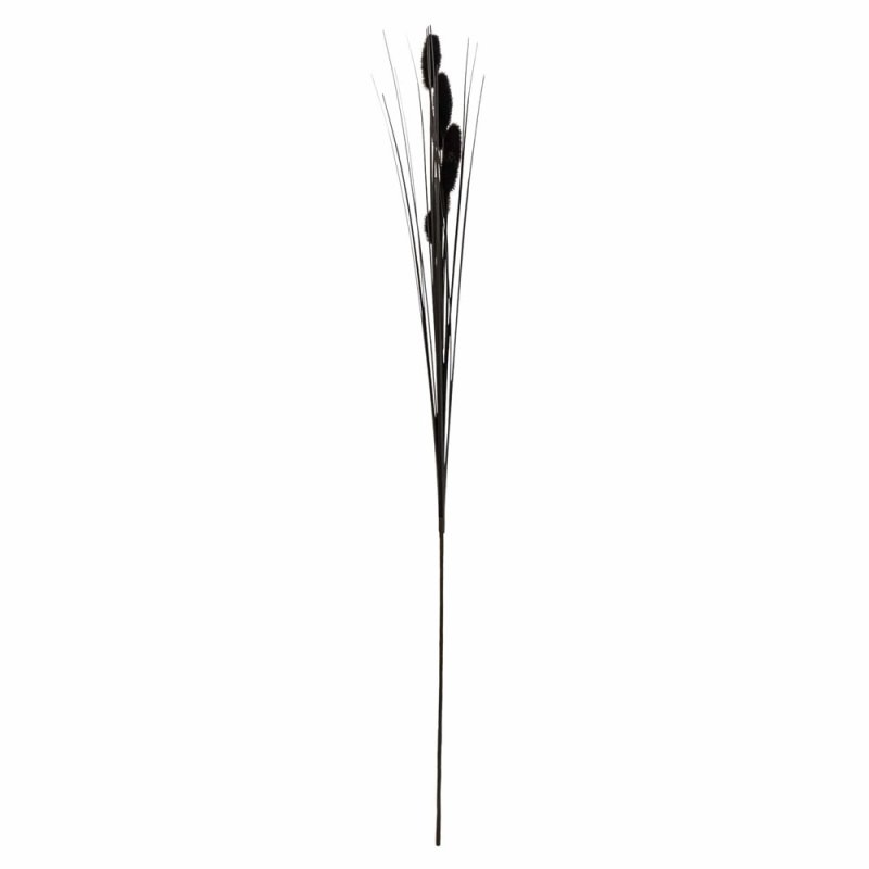 Black Foxtail 73cm