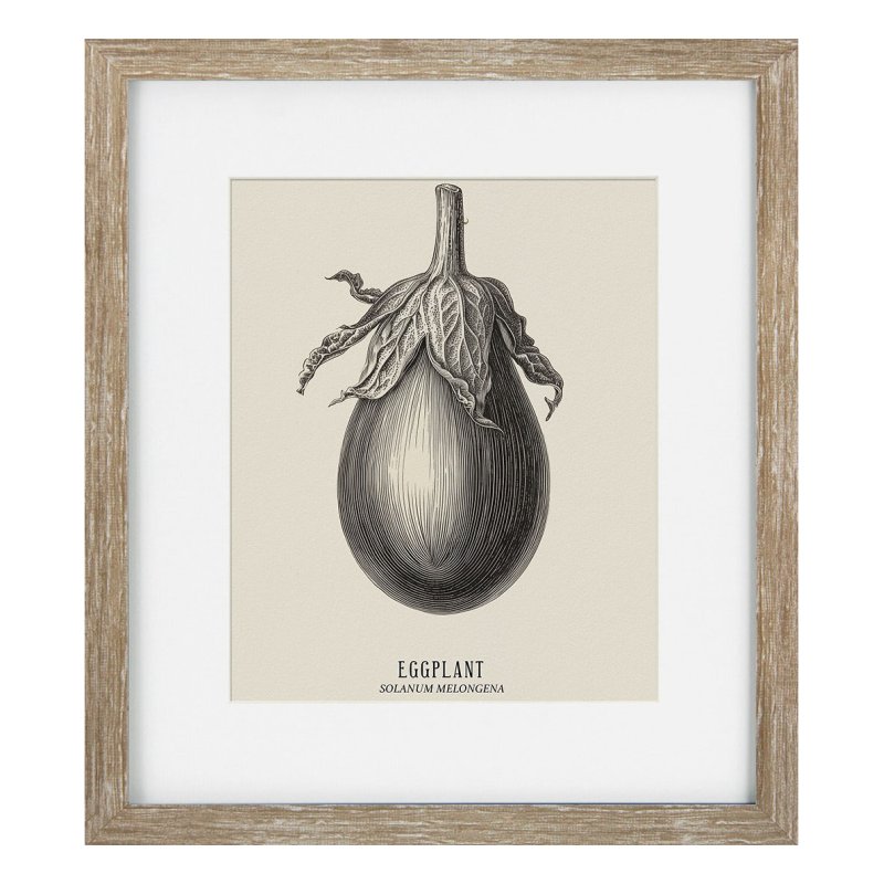 Camelot Vintage Veg Illustration VII