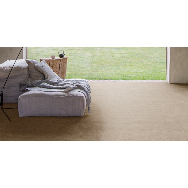 Invictus Taurus Carpet in Hammock 33