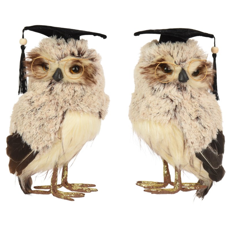 Kaemingk Artificial Graduation Owl Assorted