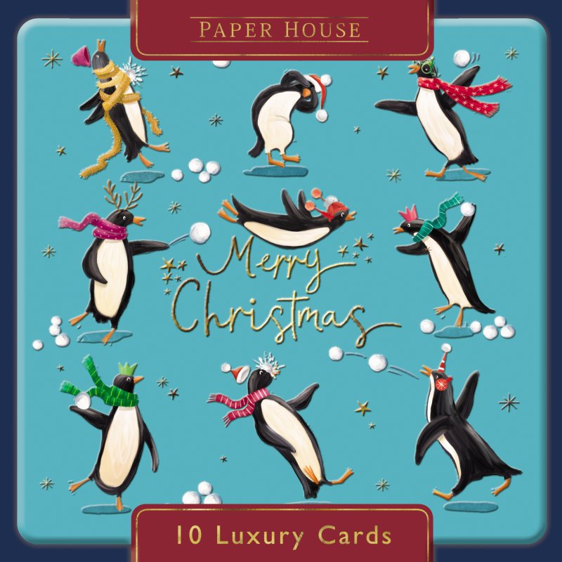 Medici Medici Penguins Snowball Game Pack of 10 Cards