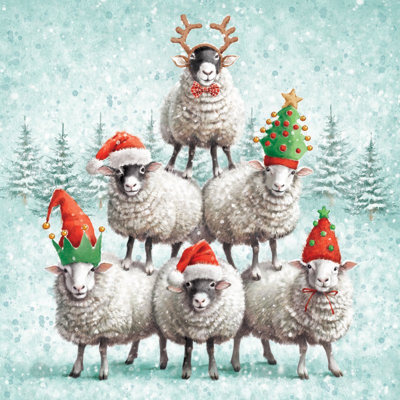 Paper House Paper House Sheep Stack Pack of 6 Cards