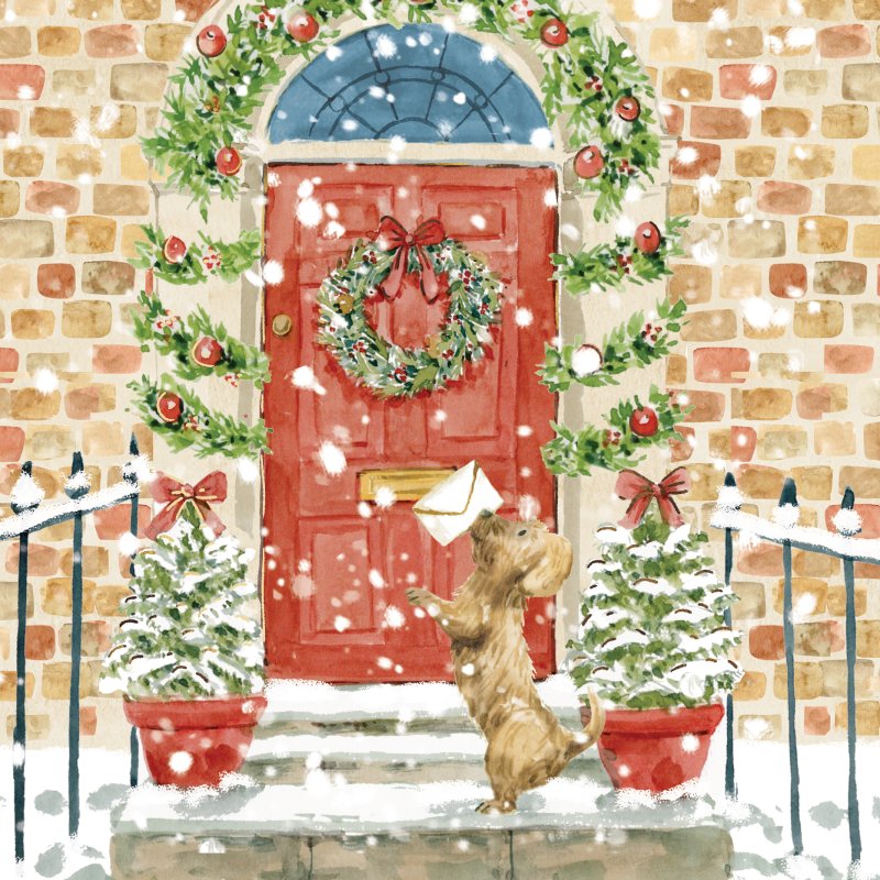 Paper House Paper House Red Door Pack of 5 Cards