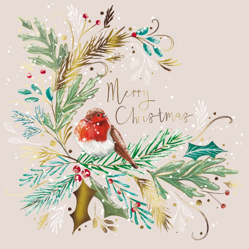 Paper House Paper House Robin Wreath Pack of 5 Cards