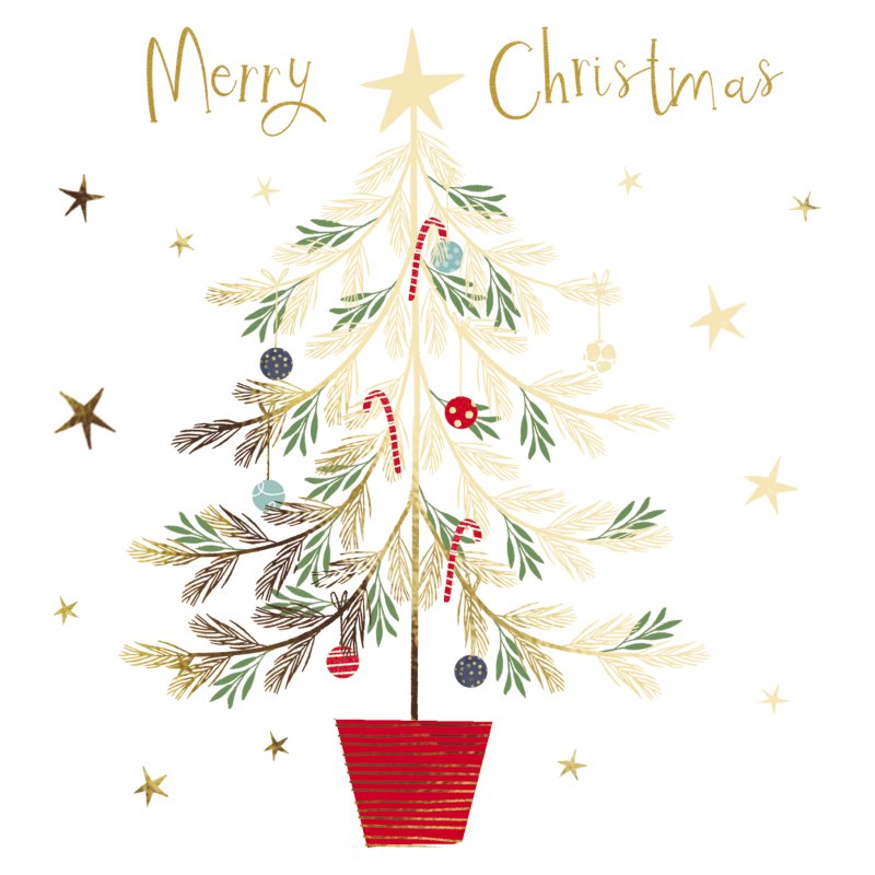 Paper House Paper House Christmas Tree Pack of 5 Cards