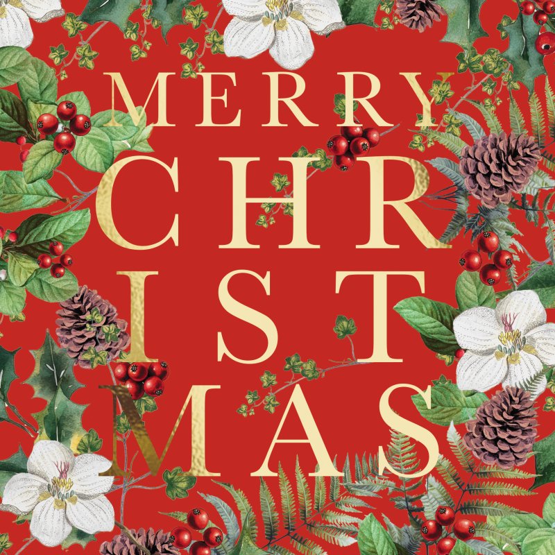 Paper House Paper House Christmas Wreath Pack of 5 Cards