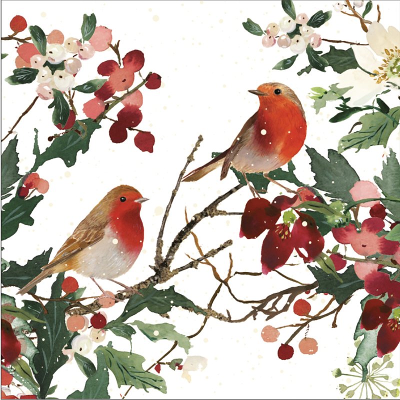 Glick Robins Paper Napkins 20pk Design
