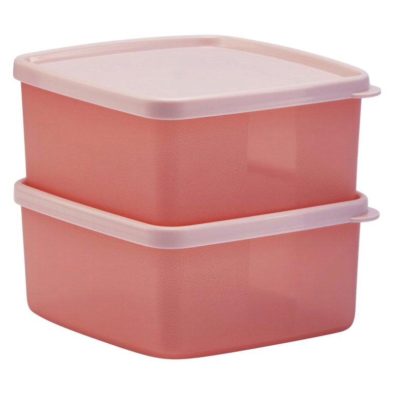 Tupperware Small Freezable Stacking Square Set Of 2