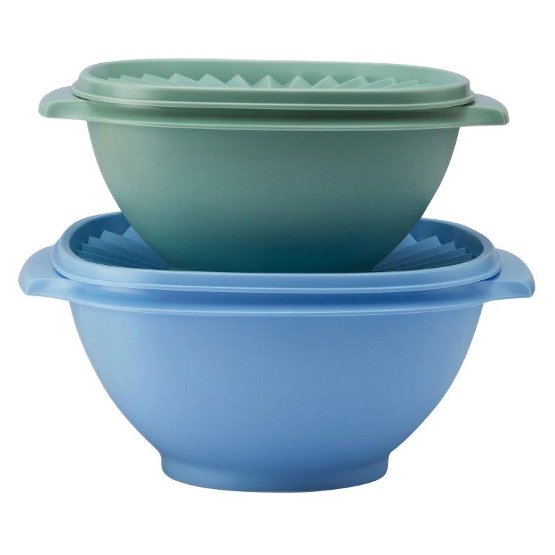 Tupperware Heritage Bowl Set Of 2