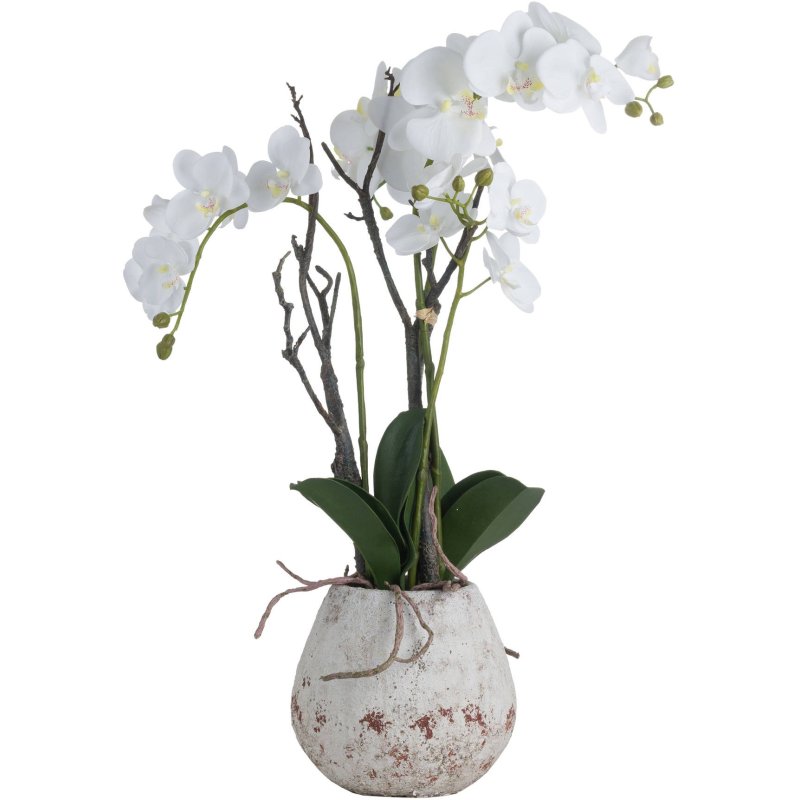 Hill Interiors Hill Interiors White Orchid In Stone Pot