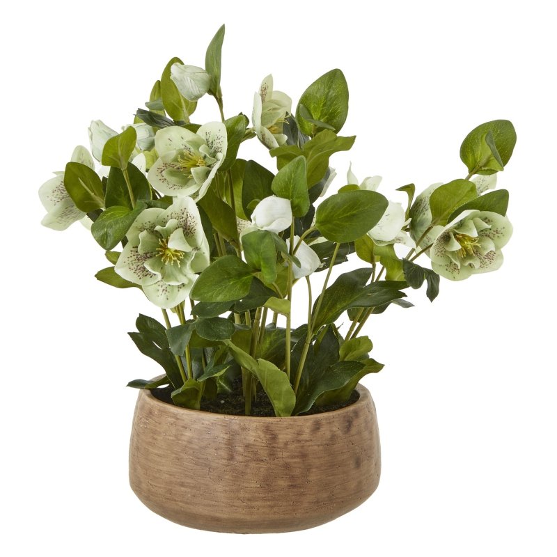 Hill Interiors Hill Interiors Green Hellebore Plant In Taupe Pot
