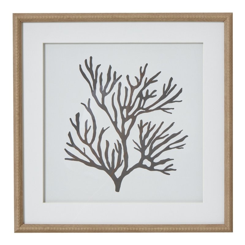Hill Interiors Hill Interiors Reef Coral Art Mounted In Beaded Frame