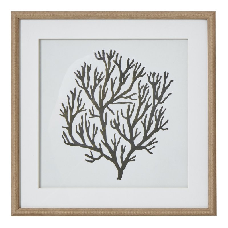 Hill Interiors Hill Interiors Atol Coral Art Mounted In Beaded Frame