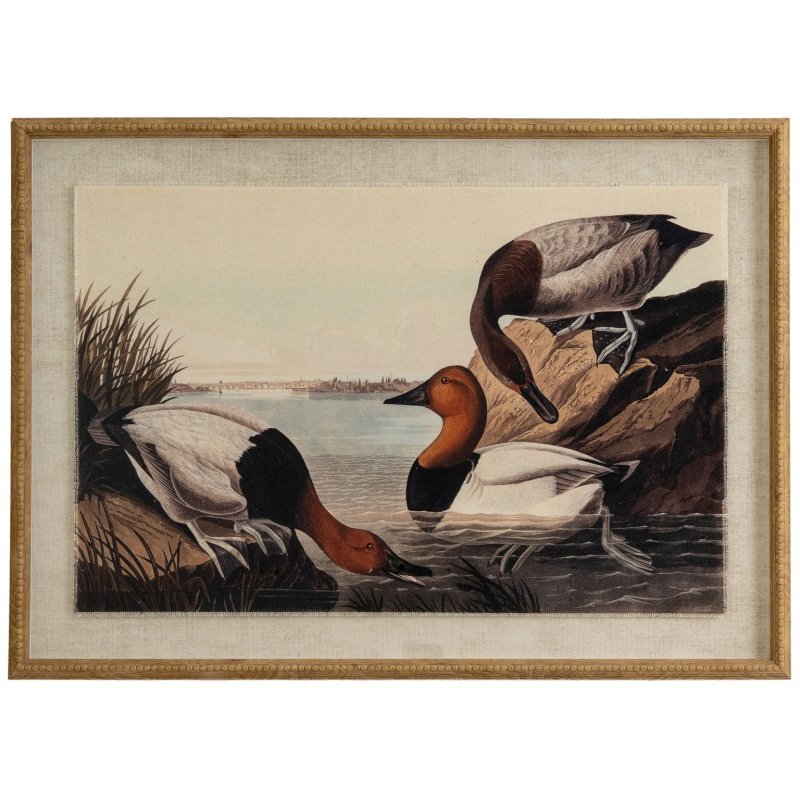 Hill Interiors Hill Interiors Flora & Fauna Pochards In Beaded Frame