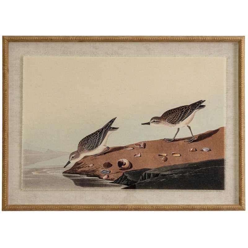 Hill Interiors Hill Interiors Flora & Fauna Stints In Beaded Frame