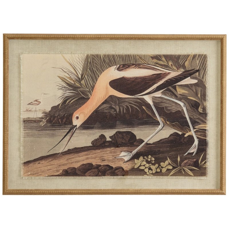 Hill Interiors Hill Interiors Flora & Fauna Avocet In Beaded Frame