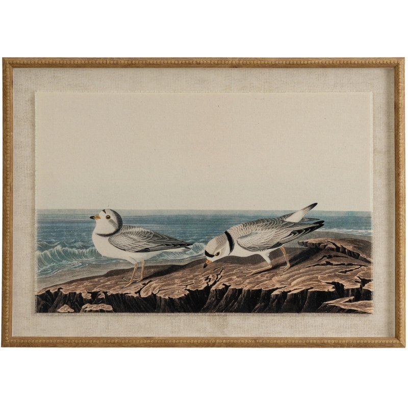 Hill Interiors Hill Interiors Flora & Fauna Plovers In Beaded Frame