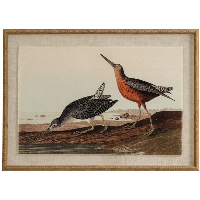 Hill Interiors Hill Interiors Flora & Fauna Snipes In Beaded Frame