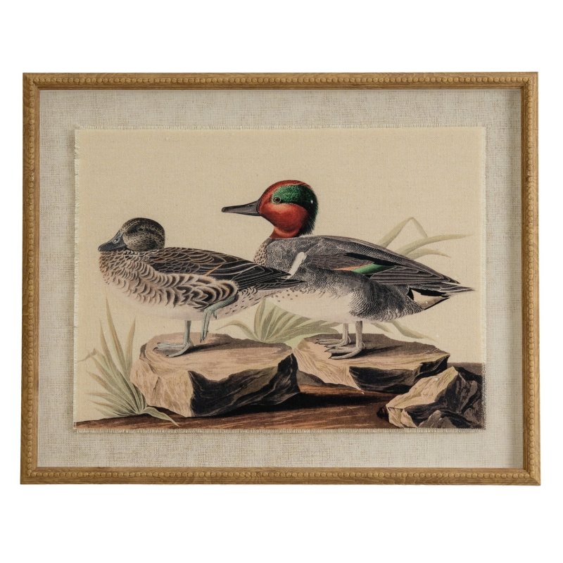 Hill Interiors Hill Interiors Flora & Fauna Teals On Linen In Beaded Frame