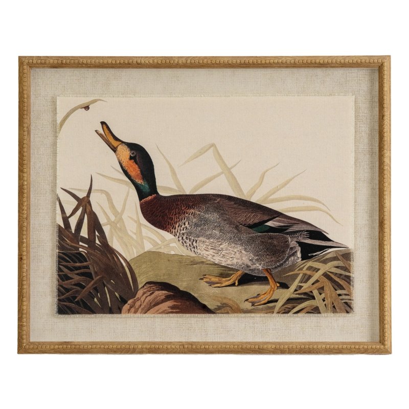 Hill Interiors Hill Interiors Flora & Fauna Duck On Linen In Beaded Frame