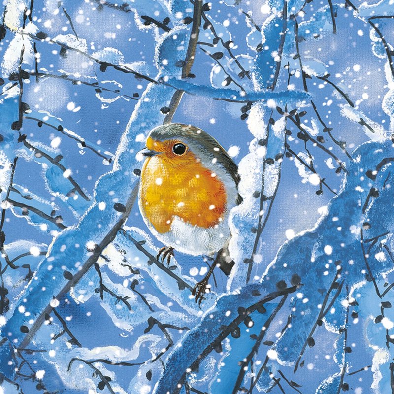 Otter House Otter House Winter Robins Xmas Cards Bumper Box