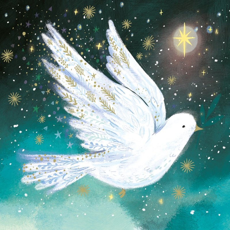 Otter House Otter House RSPB Starry Dove Small Xmas Cards