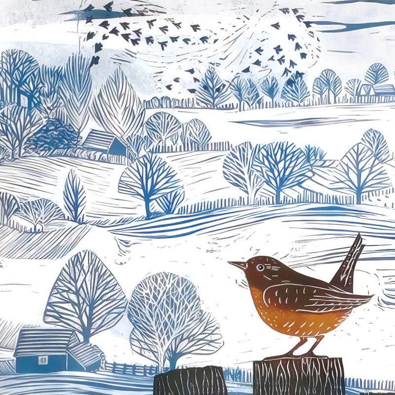 Otter House Otter House RSPB Winter Lookout Small Xmas Cards