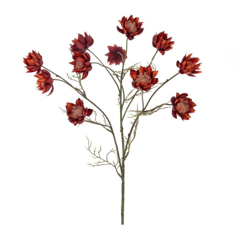 Floralsilk Floralsilk Straw Flower Burgundy