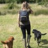 Sophie Allport Sophie Allport Bees Folding Rucksack