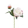 Peony Sprya
