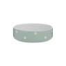 sage polka dot pet bowl