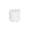 Artisan Street Artisan Street Pack of 4 Egg Cups