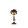 Pacific Lighting Kensington Antique Brass Metal Arched Arm Table Lamp