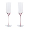 Denby Denby Colours Set of 2 Champagne Flutes Pink