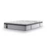 Sealy Sealy Elevate Ultra Picket Divan Set