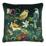 Midnight Garden Bird Cushion Green