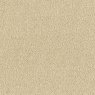 Cool Beige