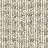 Stripe Rembrandt
