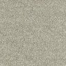 Dove Grey
