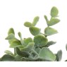 Kaemingk Assorted Artificial Plants Detail
