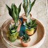 Kaemingk Assorted Faux Sansevieria Plant in Pot Lifestyle