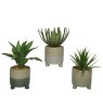 Kaemingk Plastic Potted Faux Succulent