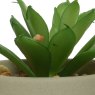 Kaemingk Plastic Potted Short Faux Succulent