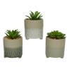 Kaemingk Plastic Potted Short Faux Succulent