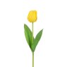Floralsilk Yellow Triumph Tulip image of the flower on a white background
