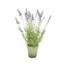 Floralsilk Floralsilk Grape Hyacinth Bush