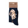 Wrendale Wrendale Navy Hopeful Labrador Socks